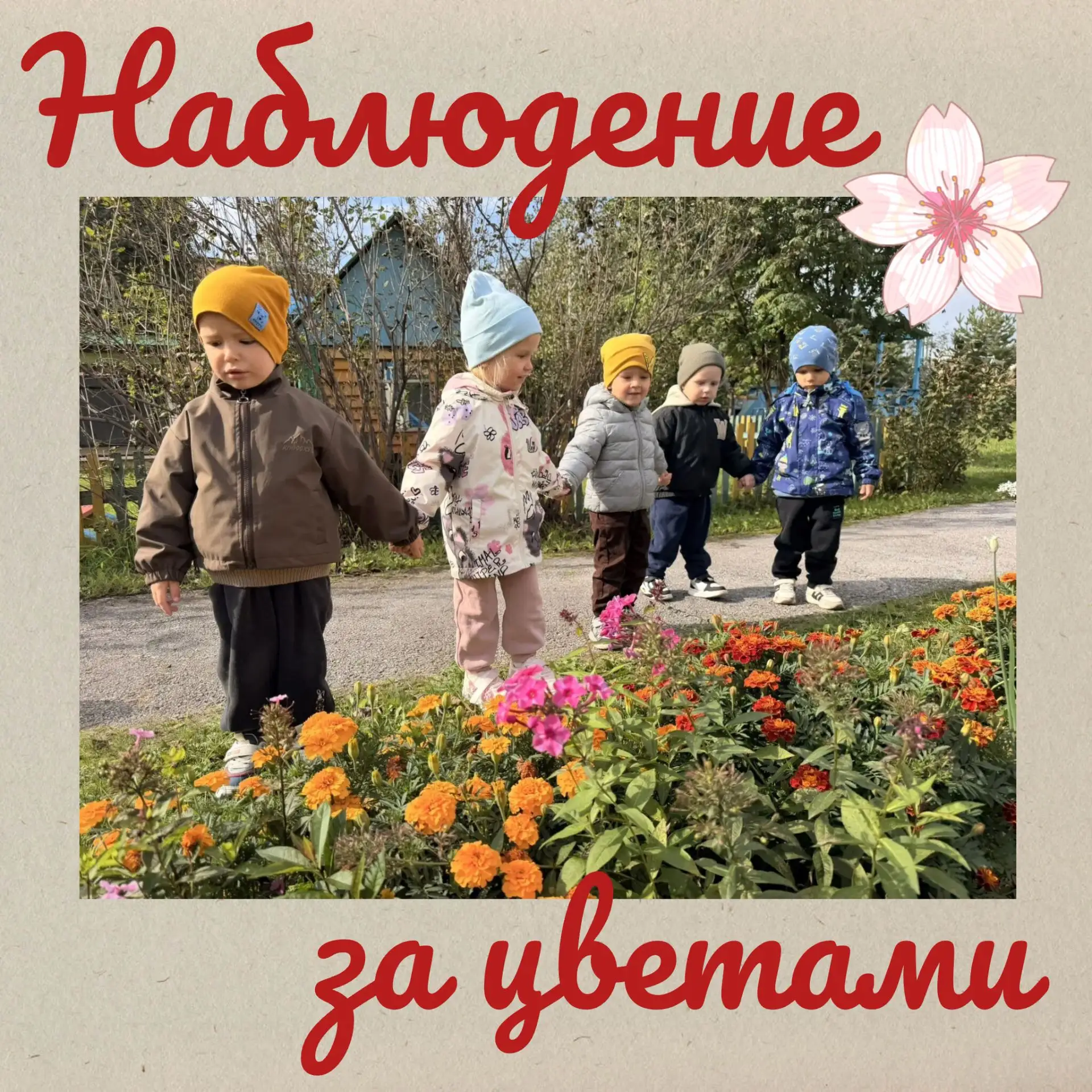 На прогулке дети младшей группы, в утренний отрезок времени, наблюдали за цветами. Дети...