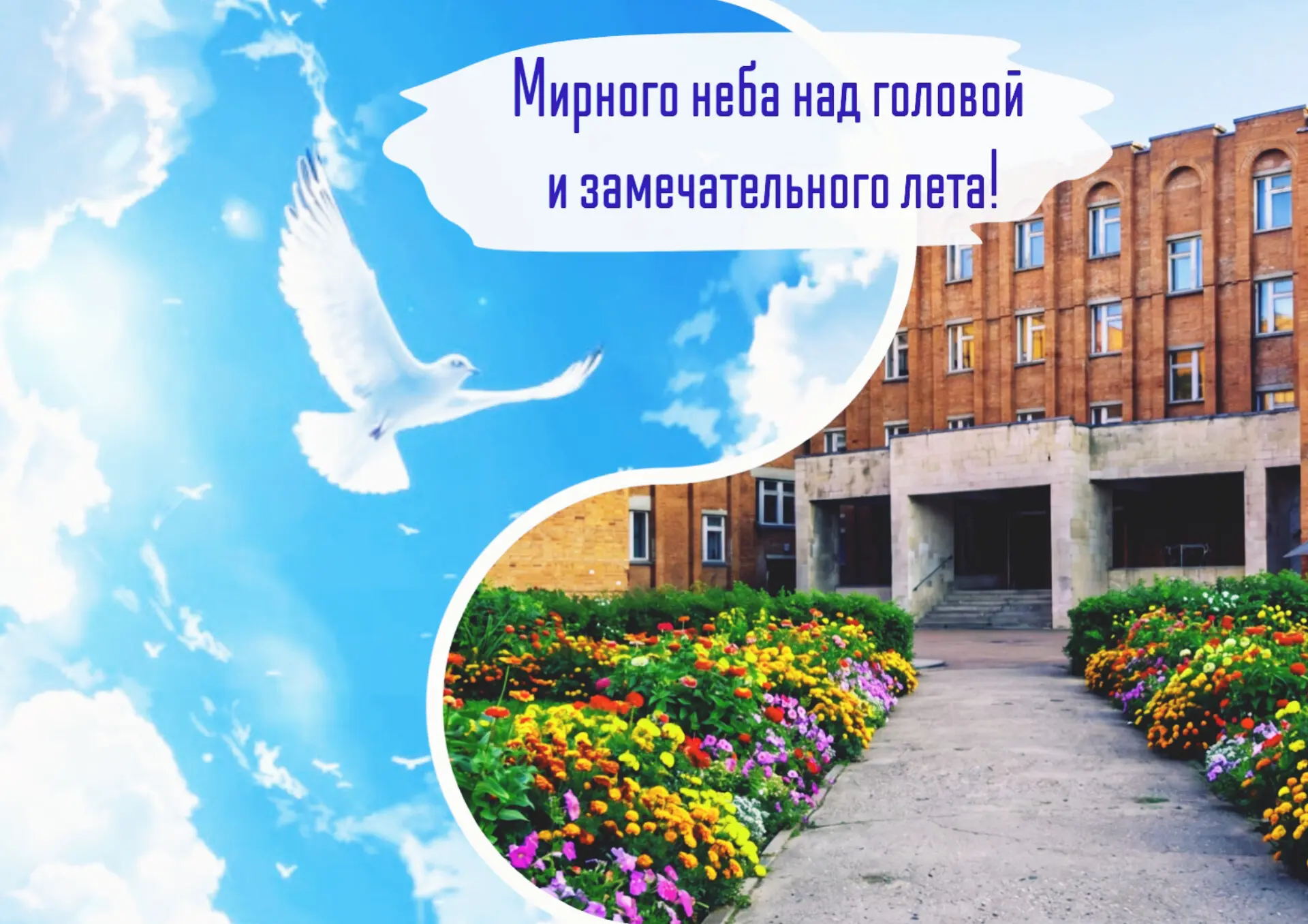#школа61чебокары