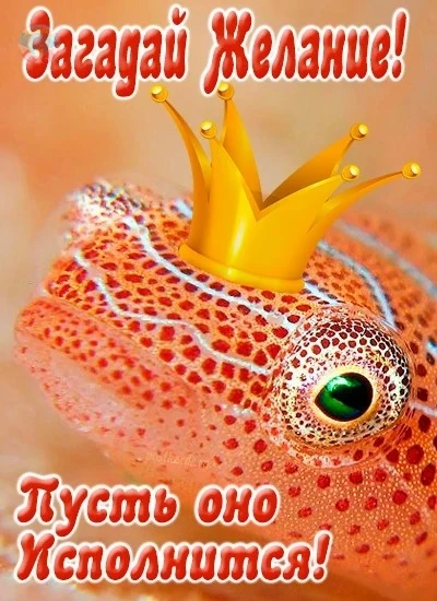 📢Пусть ваше желание исполнится!

📅Сегодня 28 июля — День загадывания желаний. Это волшебный праздн