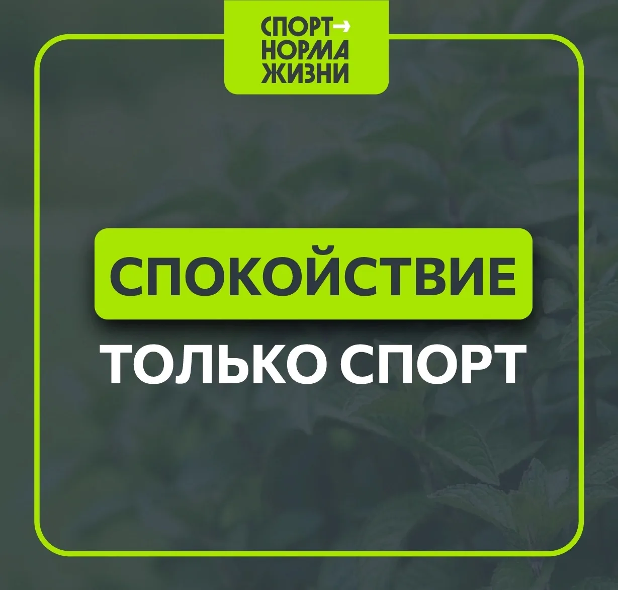 Спокойствие, только спорт: Как физическая активность лечит тревожность 😌

Коротко о главном враге —