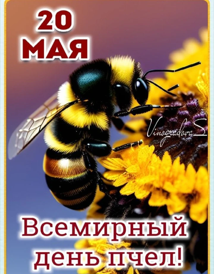 Каждый день неповторим и уникален, интересен и незабываем. И таким мы делаем его сами, ...