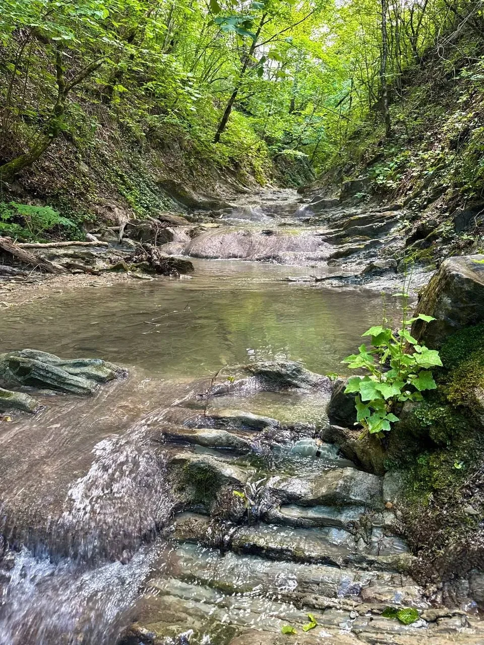В черте Новороссийска, в конце улицы Луначарского, находится каскад из двенадцати водоп...
