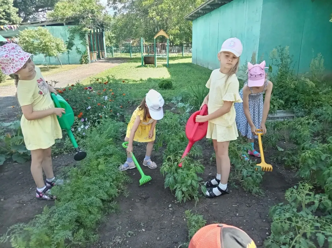 Наши ребята из групп "Лучики" и "Затейники" очень любят трудиться на огороде, им доставляет радость 