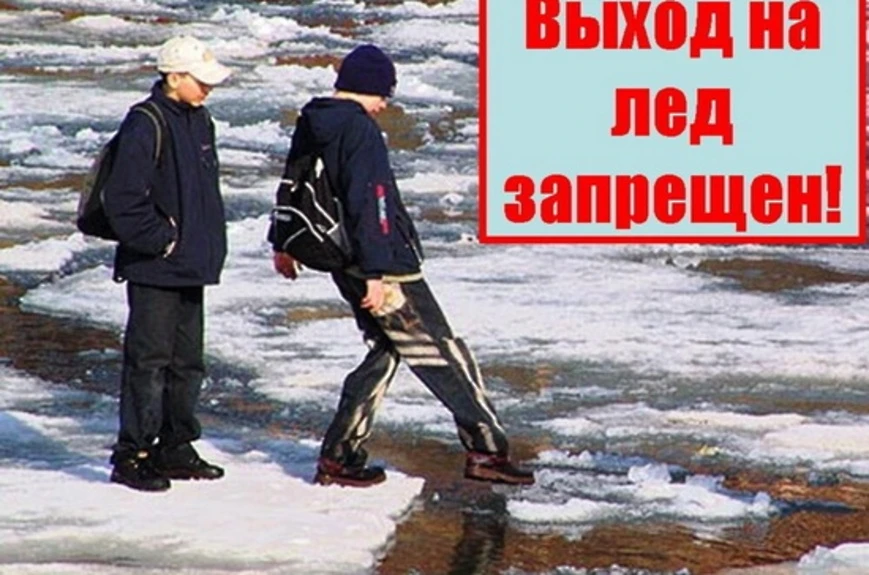 Гос. организация