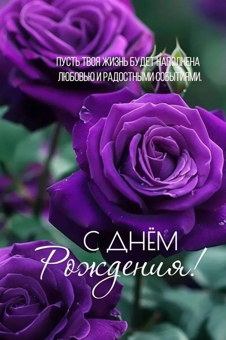 ❤️ Мамины открытки
👉 Подписаться