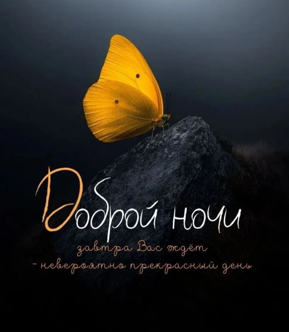 На сегодня у нас всё