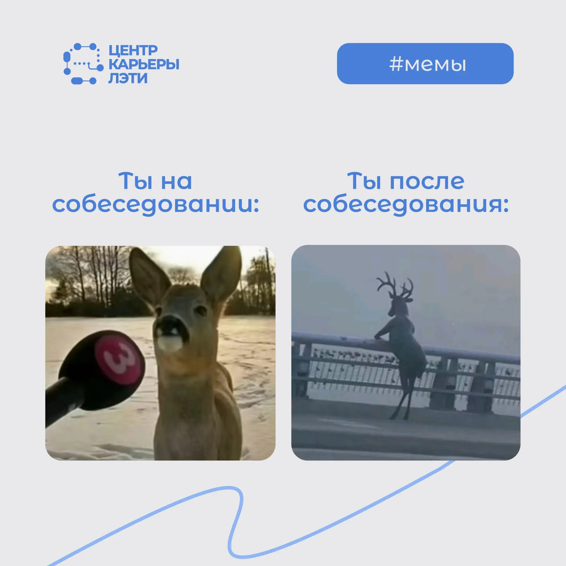 #мемы_ЛЭТИ