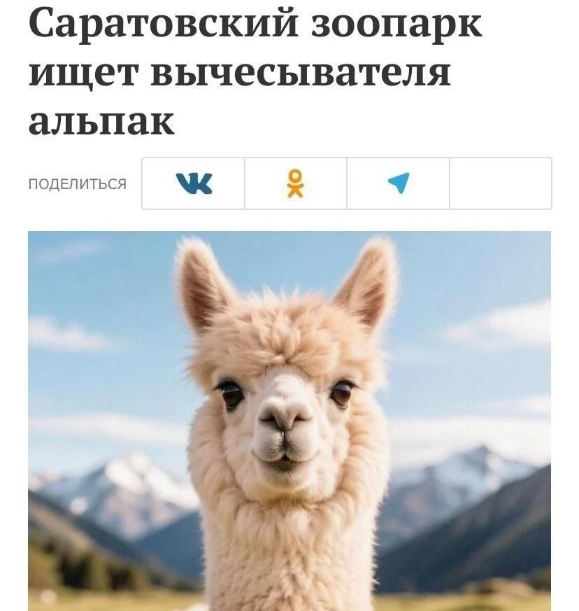 🦙РАБОТА МЕЧТЫ В САРАТОВЕ