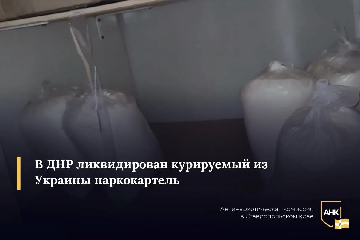 На территории Донецкой Народной Республики пресечена деятельность преступной группы, занимавшейся по