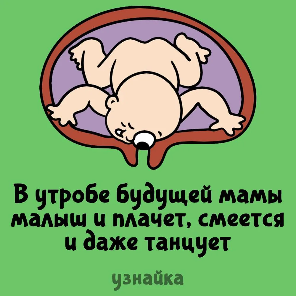 Хулиганит с малого возраста😏
Узнайка