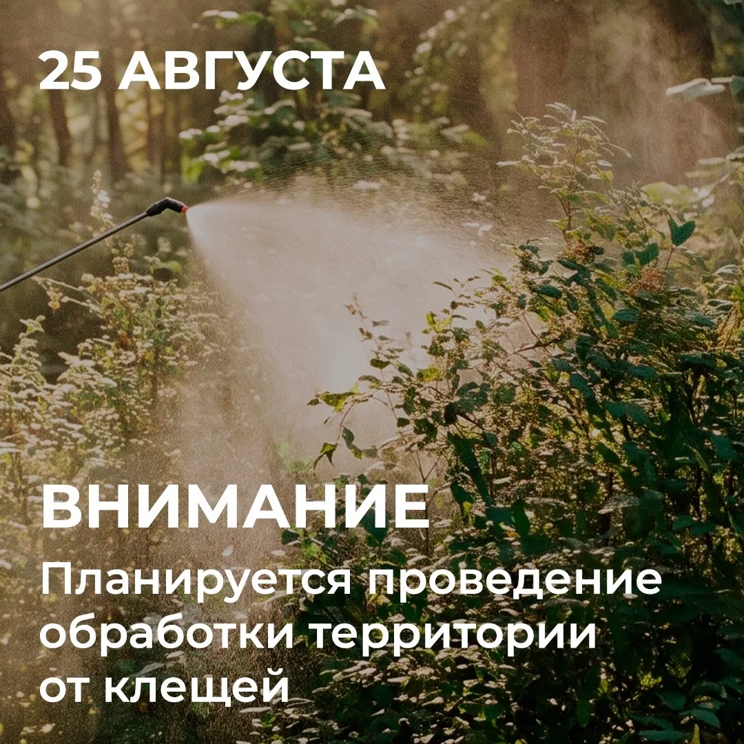 📢 Уважаемые посетители!