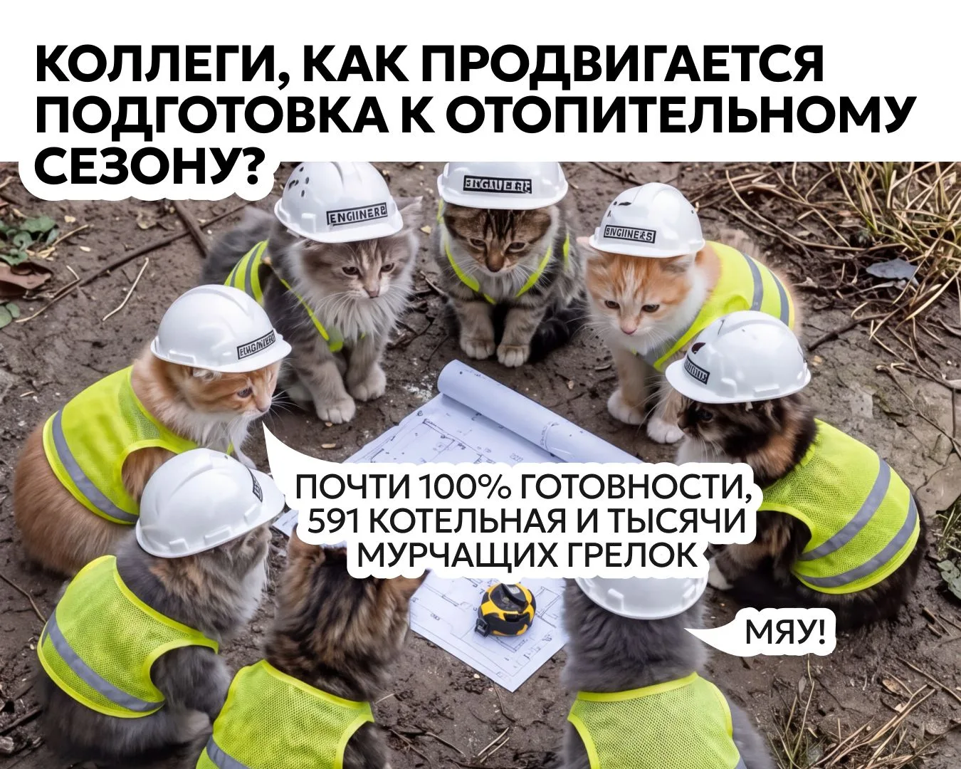 Внеплановое совещание котиков ЖКХ прошло успешно