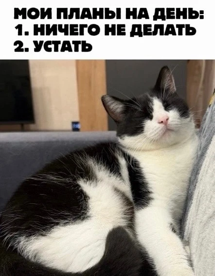 Погода второй день обязывает…
