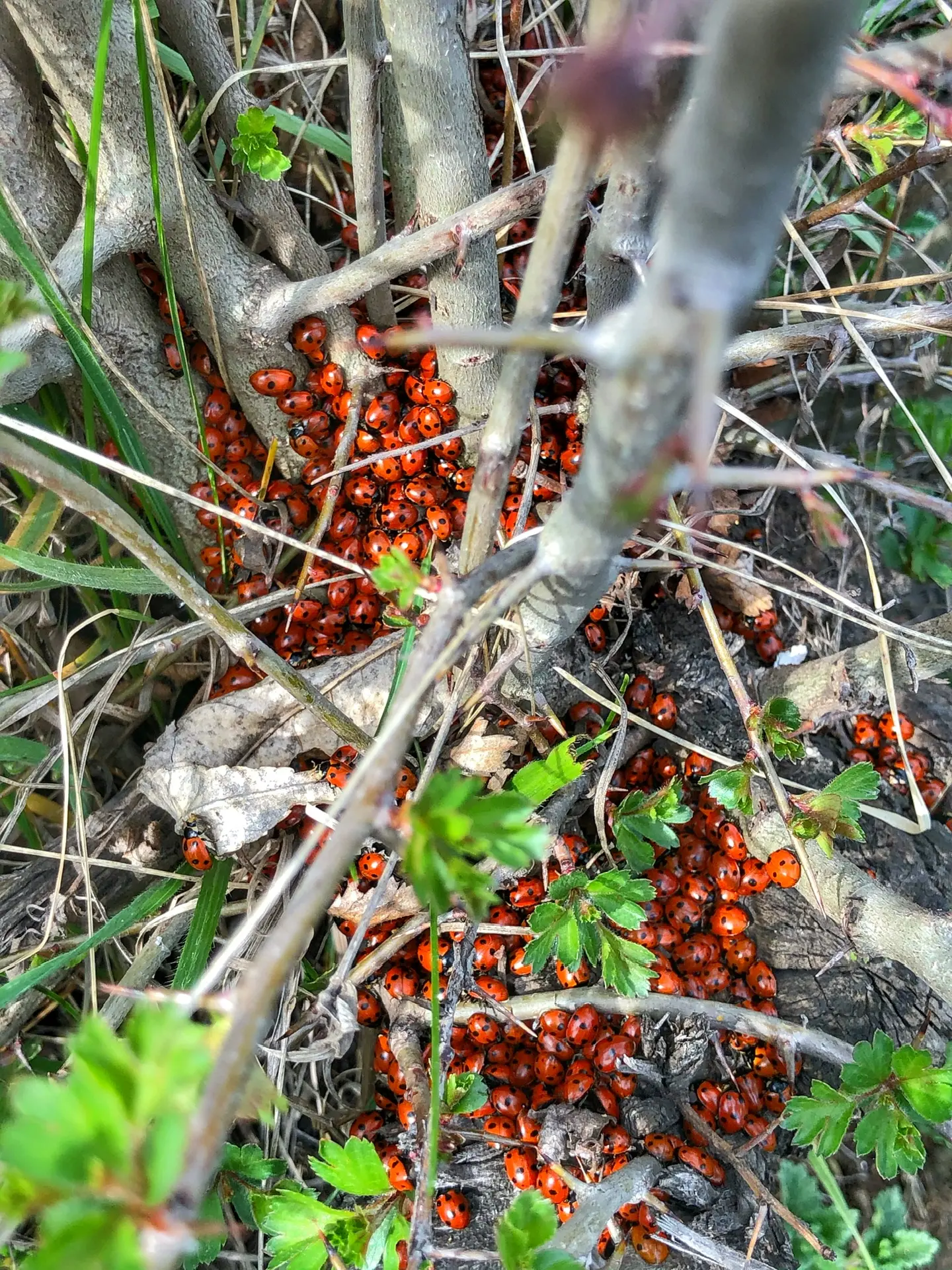Пробуждение 🐞🐞