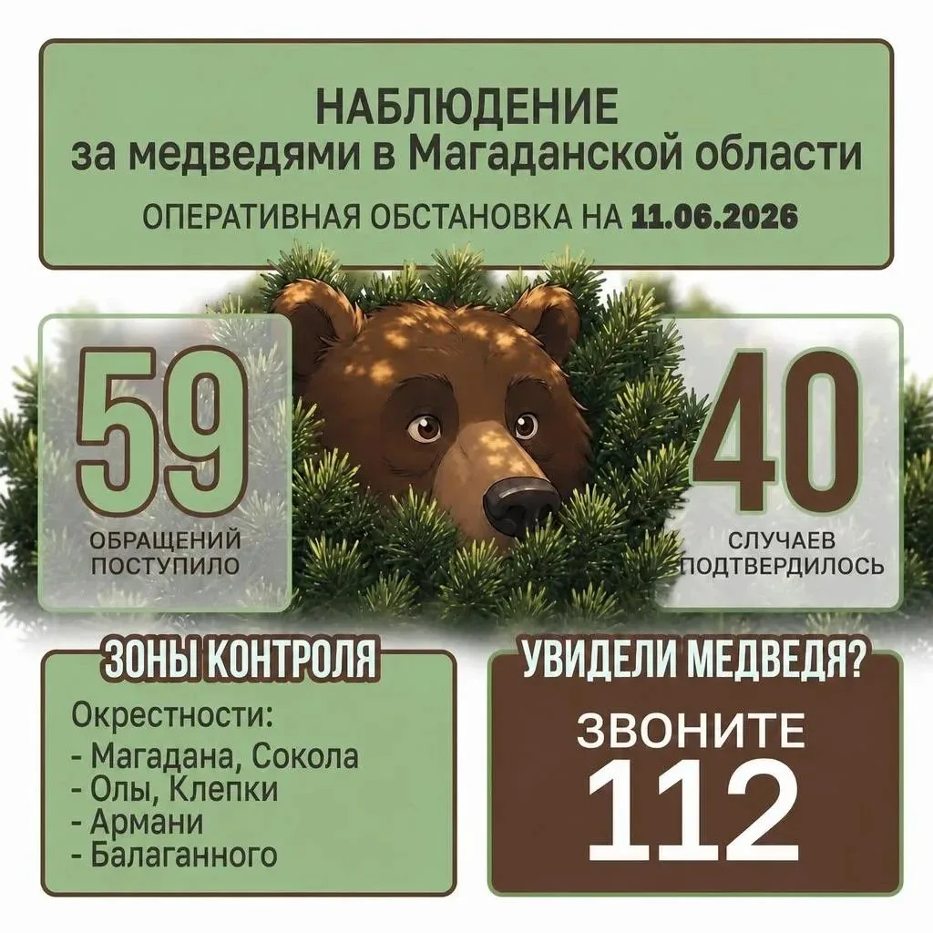 ❗️В регионе растет количество сигналов о медведях. Судя по статистике, опубликованной р...
