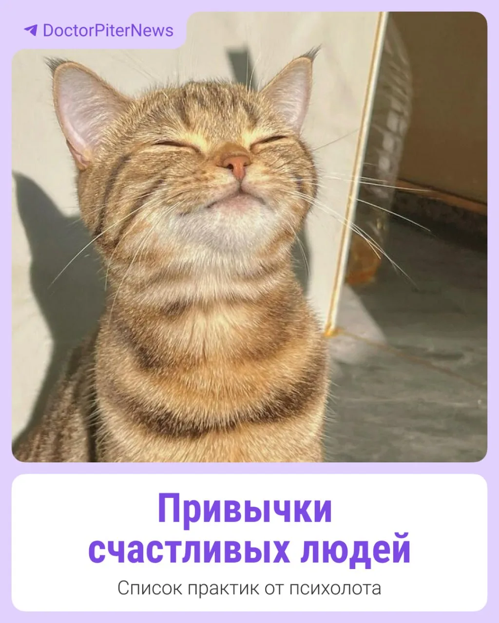 🧐 Всего 5 действий в день помогут стать счастливее?  По крайней мере, так считает психолог Сьюзи Пет