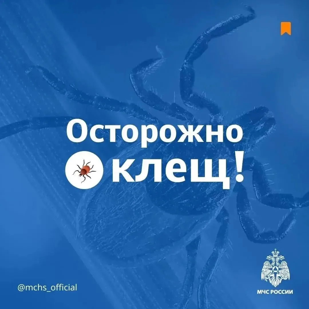 ❗Осторожно! Клещ!