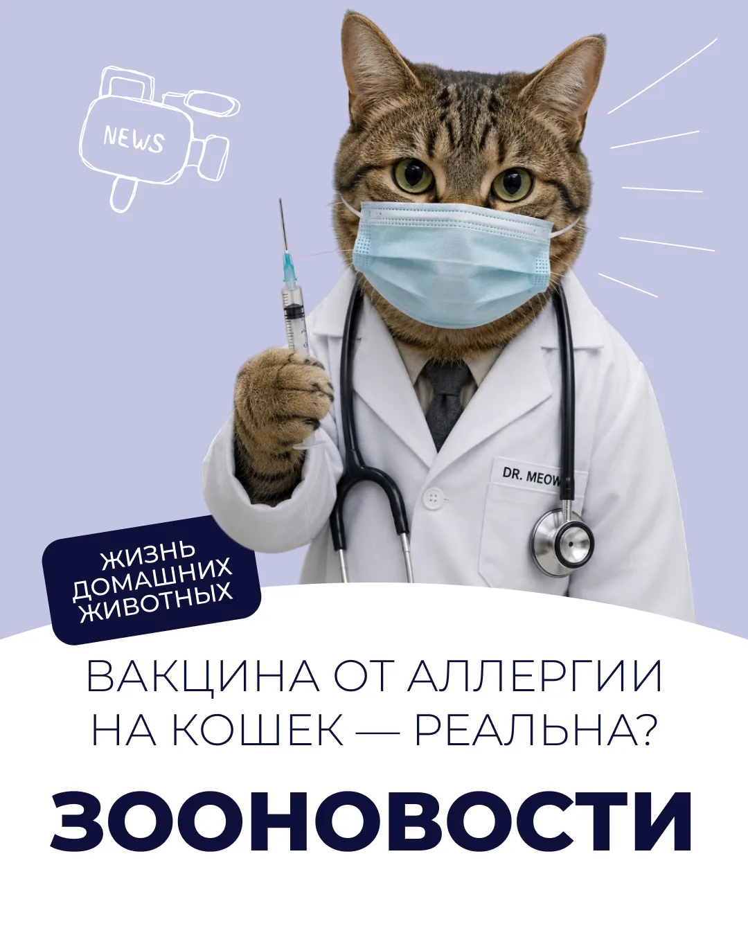 Вакцина от аллергии на кошек может стать реальностью❓

Ученые готовят к клиническим испытаниям новую