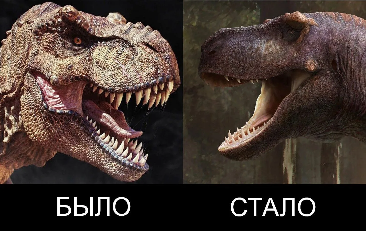 Совсем недавно учёные бросили вызов всем документальным и фантастическим фильмам, где ф...