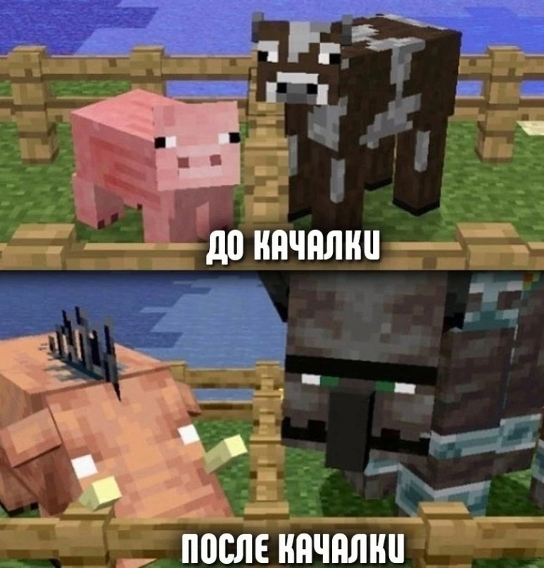 🤣