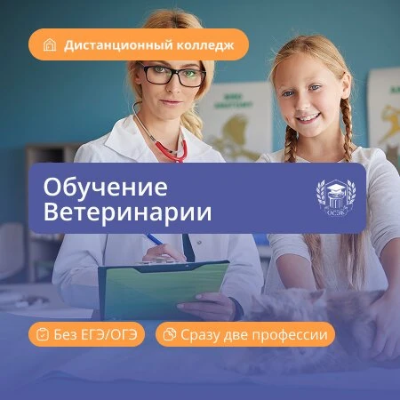 Онлайн-колледж. Обучение по специальности «Ветеринария»