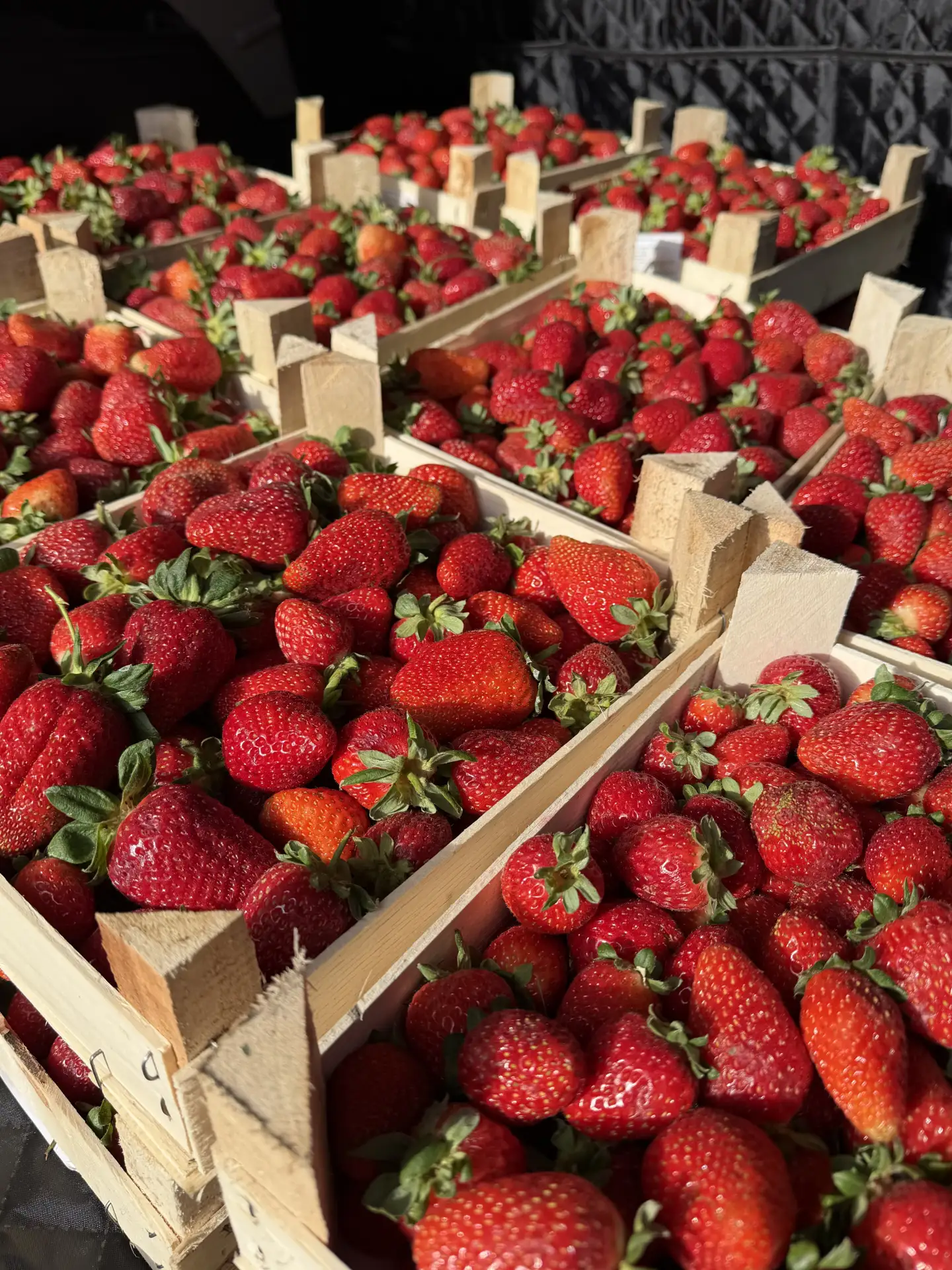 Клубника из Солнечной Киргизий 🍓🍓🍓Стоимость Ящика 1 300 ₽