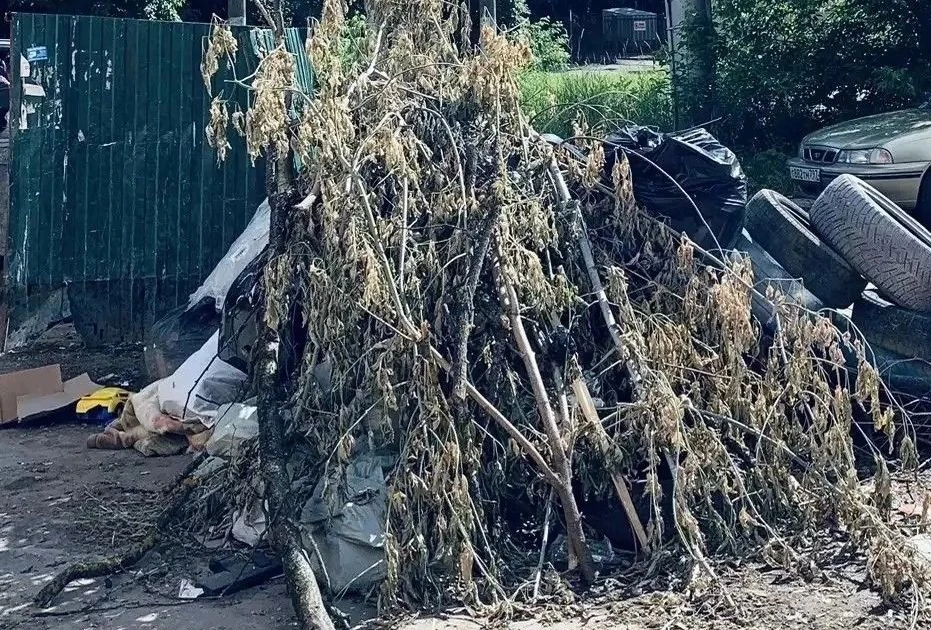 👀Жители домов на улице Салтыкова-Щедрина вынуждены жить возле растущей помойки

Об этом в понедельн