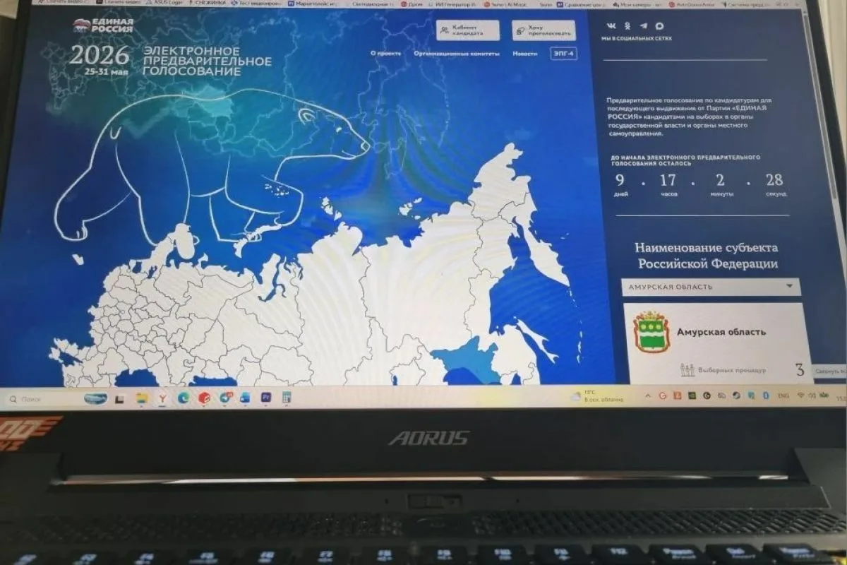 Четыре участника СВО готовы представлять в парламентах интересы жителей Приамурья  Завершена регистр