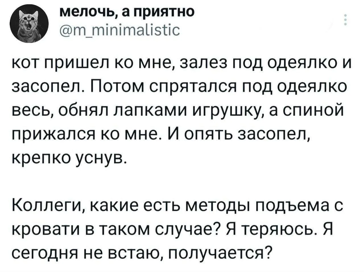 Изображение 1 к публикации «Один смех»