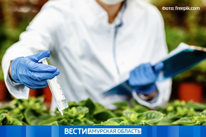 Дальневосточный ГАУ приглашает амурчан на форум «Ботаникус»  Событие для всех, кто интересуется садо