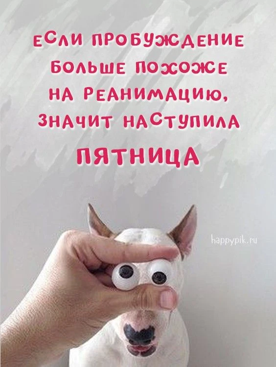 👉открытки с днем рождения👈