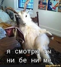 🎓 5 курсов в подарок от Яндекс Практикум! Успейте до конца июня

В «Яндекс Практикуме» действует кл