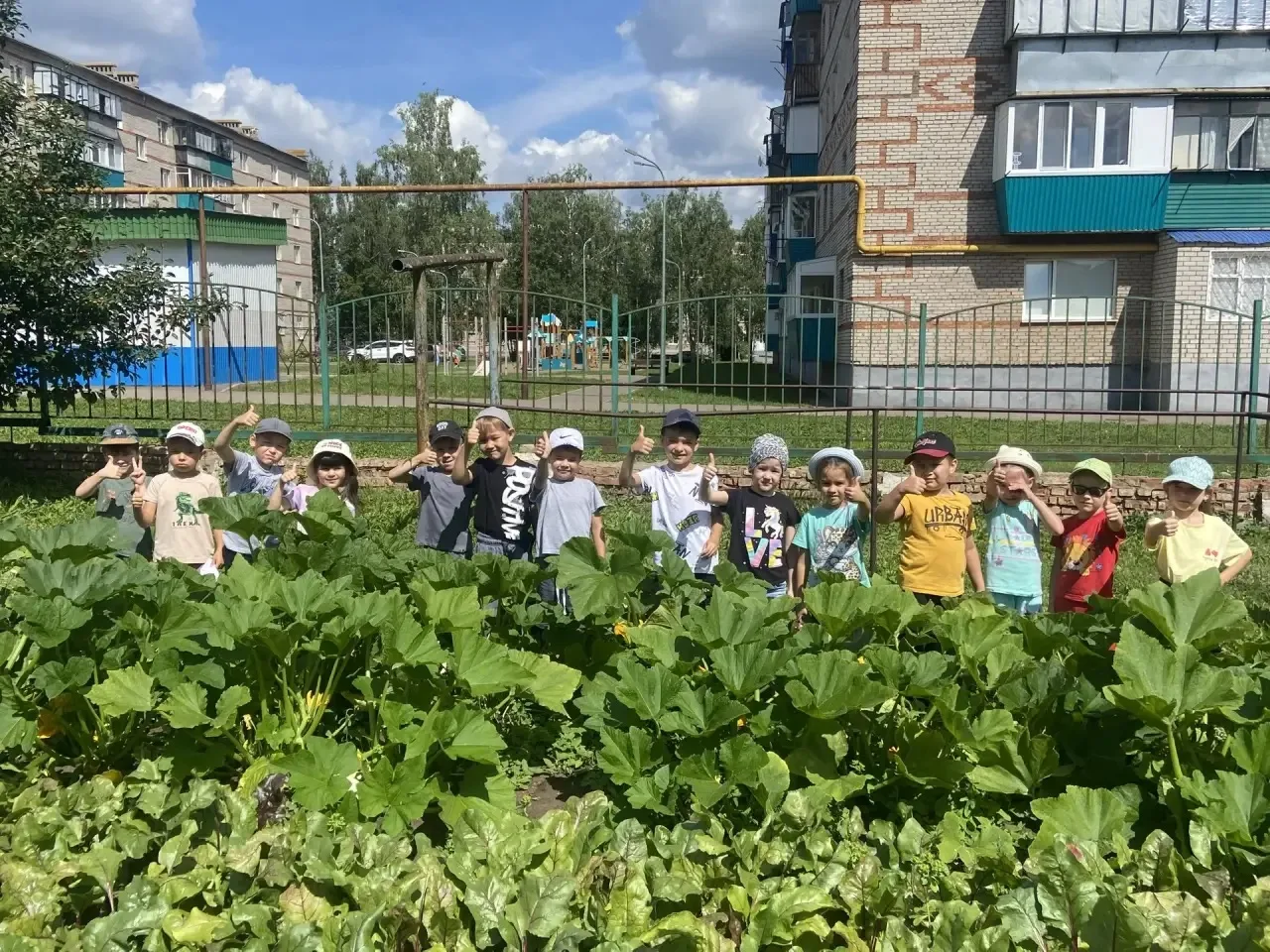 Воспитанники старших групп посетили свои грядки с целью наблюдения за ростом овощей.  В...