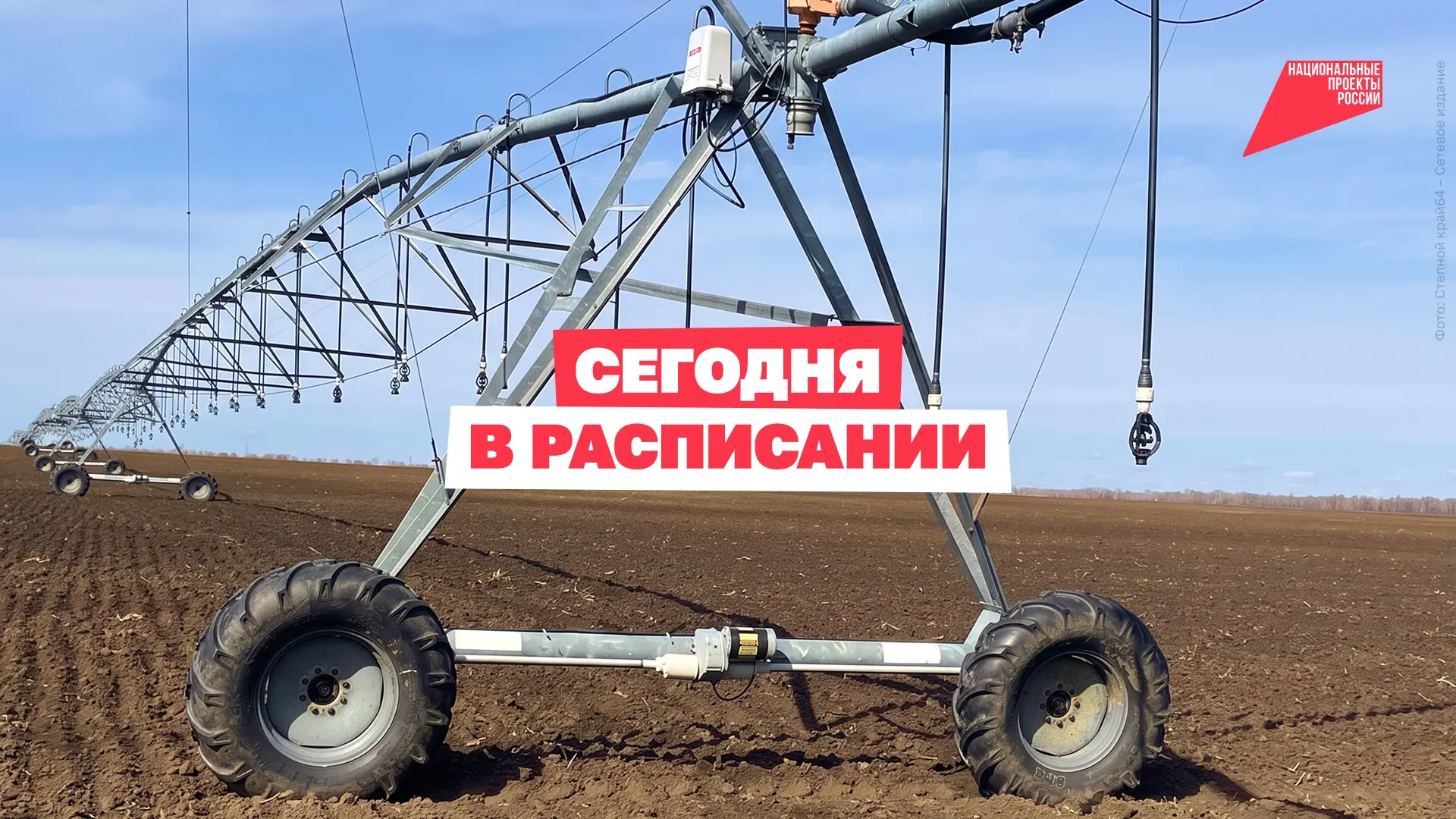 От школьного кабинета до будущей профессии 🌱