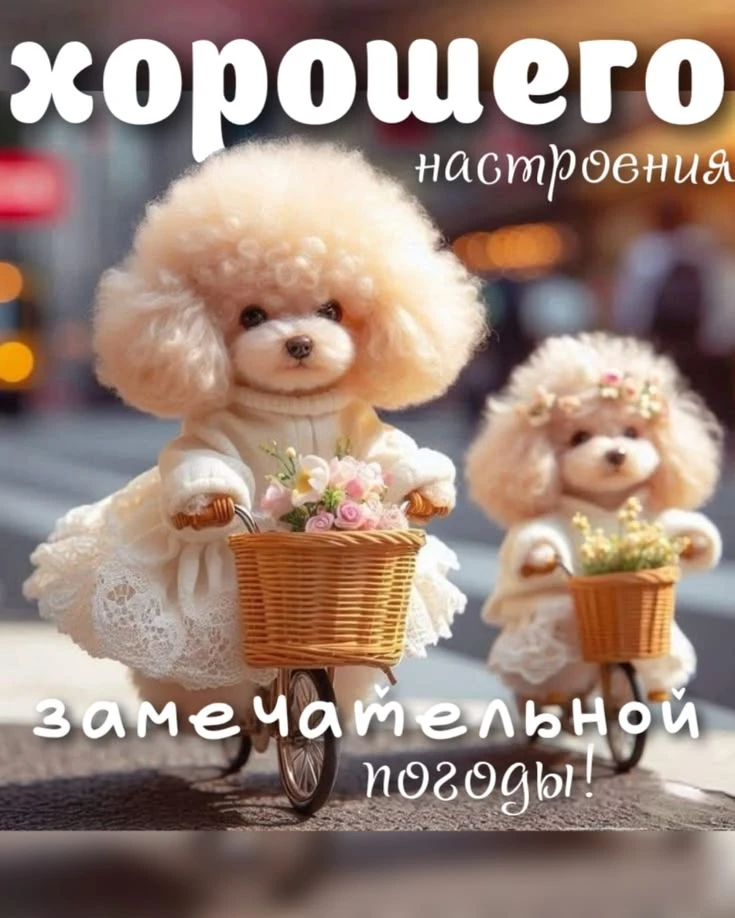 https://max.ru/se13912156_biz
