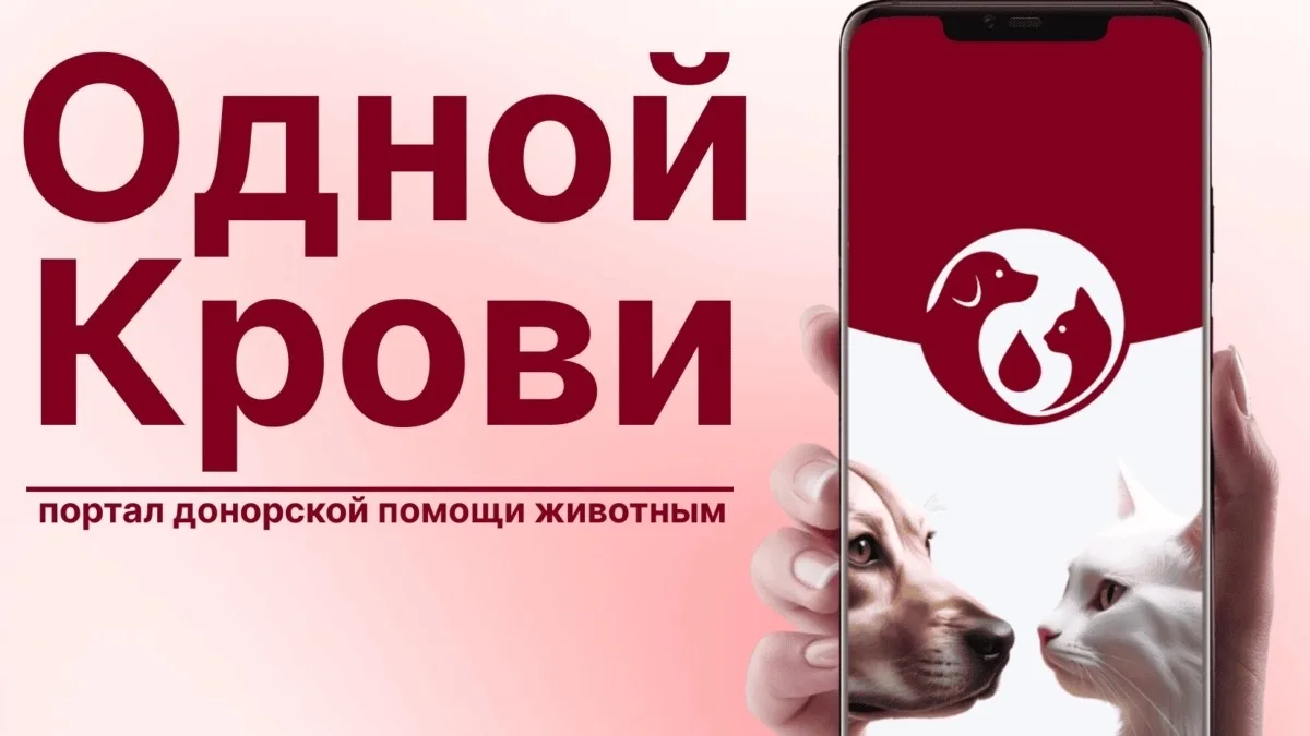 На основании письма Автономной некоммерческой организации «Единый портал повышения дост...