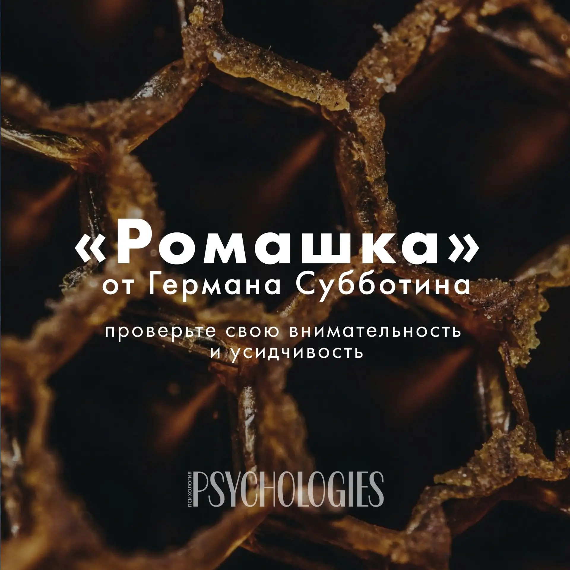 ✍️ «Ромашка» от Германа Субботина. Сможете найти все слова?

Наша «ромашка» — это аналог англоязычно