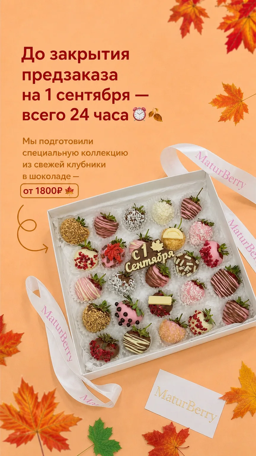 ТОЛЬКО 24 ЧАСА