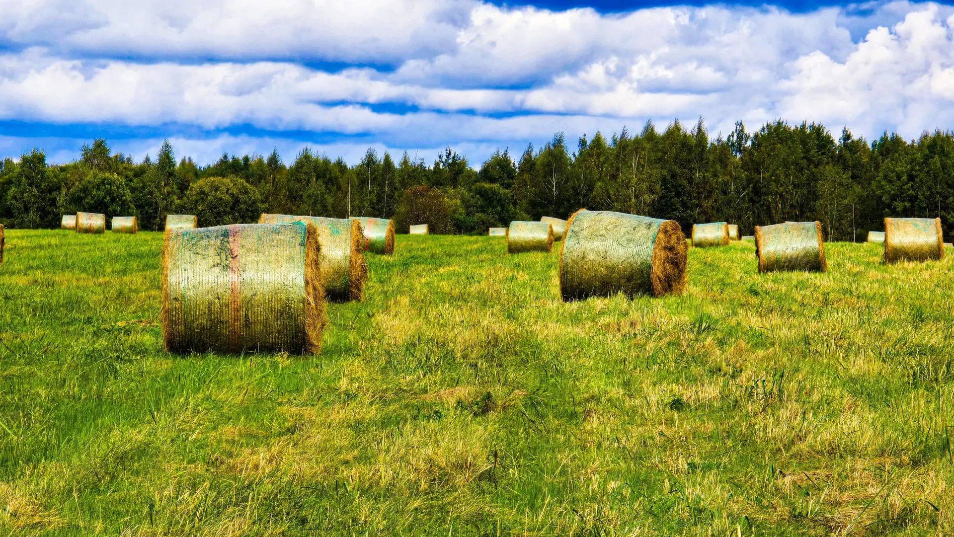🚜 Сельскохозяйственный тетрис. Рулоны сена 2026 г.
