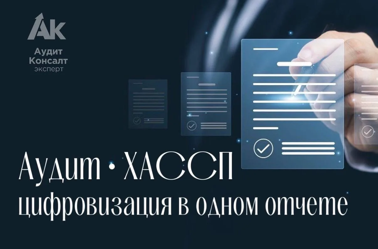 Аудит-ХАССП-Цифровизация в одном отчете! 🌐