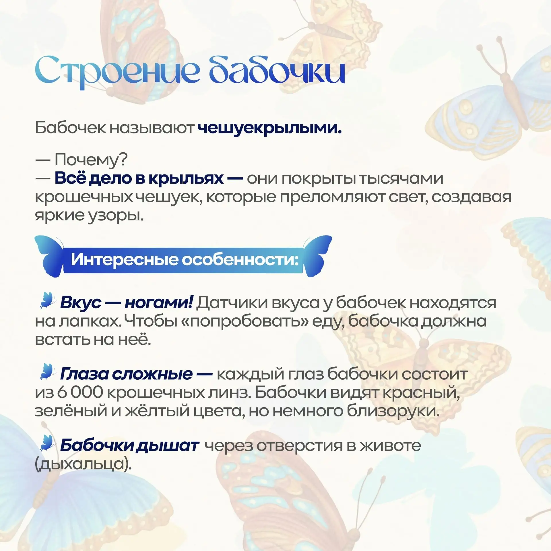 А сегодня.... 19 июня – День бабочек!!!                                                             
