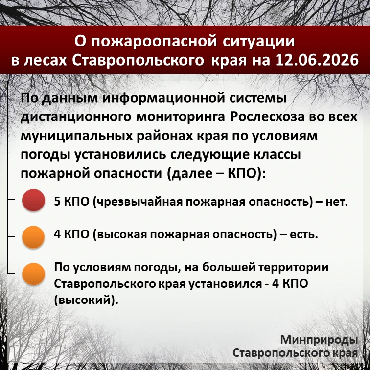 🌲 По данным информационной системы дистанционного мониторинга Рослесхоза по состоянию ...