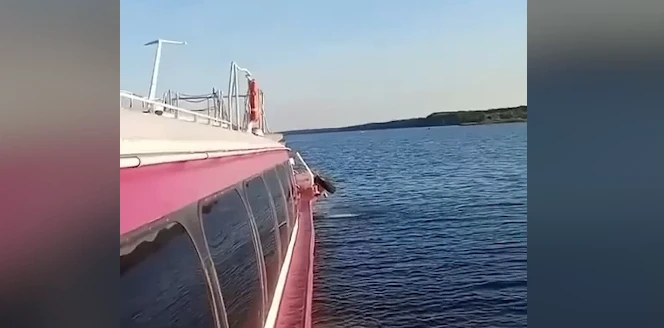 ⚡️Туристический теплоход сел на мель на Волге в Ярославской области.