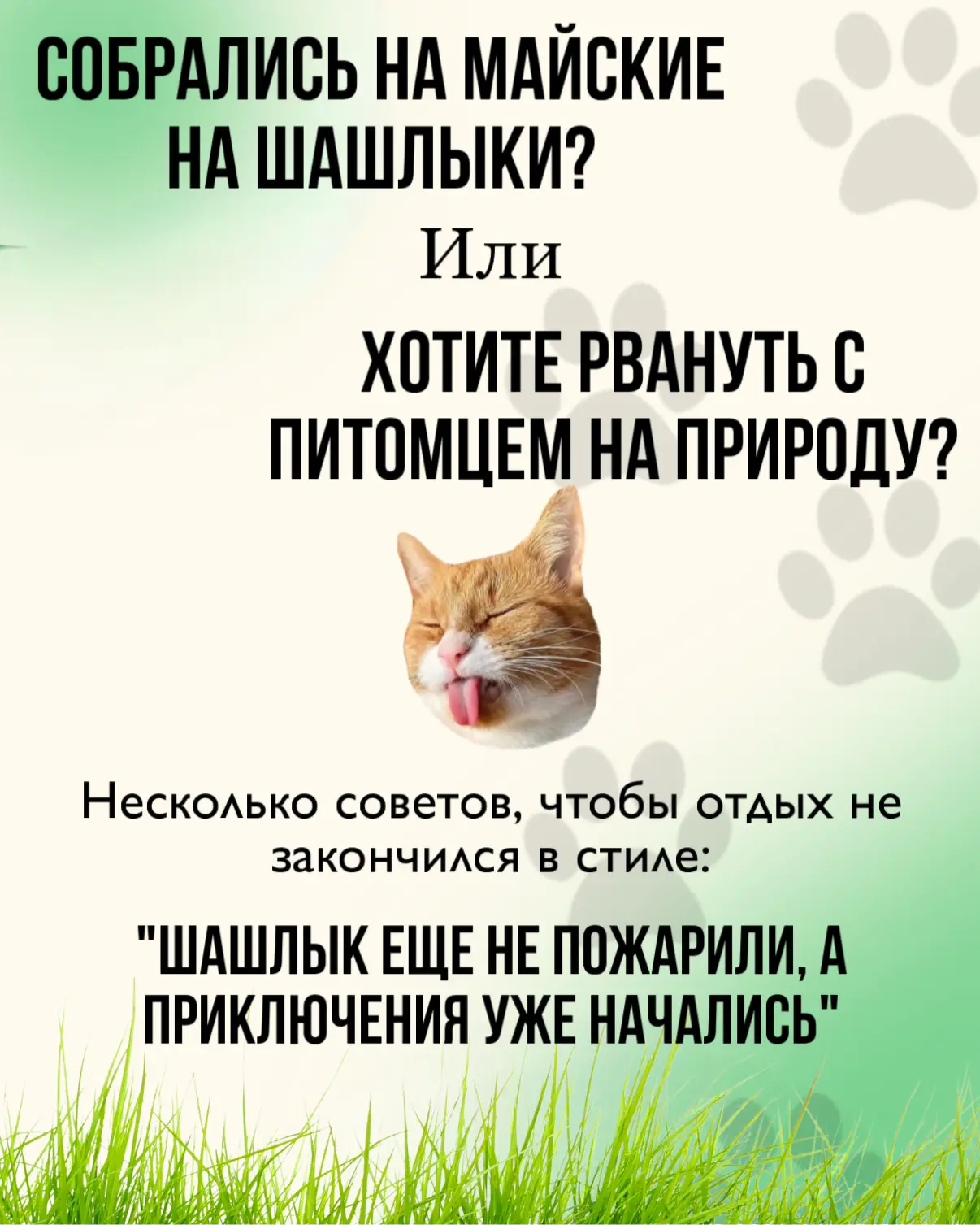 Собрались на майские на шашлыки? Или решили вывезти хвостика на природу?🫣