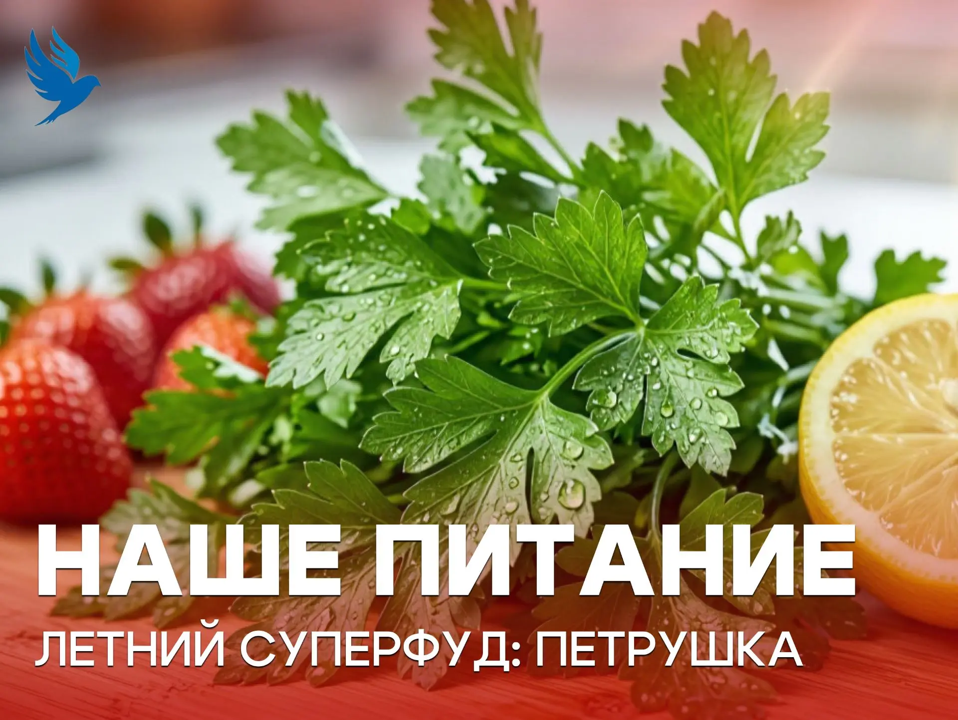 👑 Королева грядки: почему петрушка необходима каждому школьнику