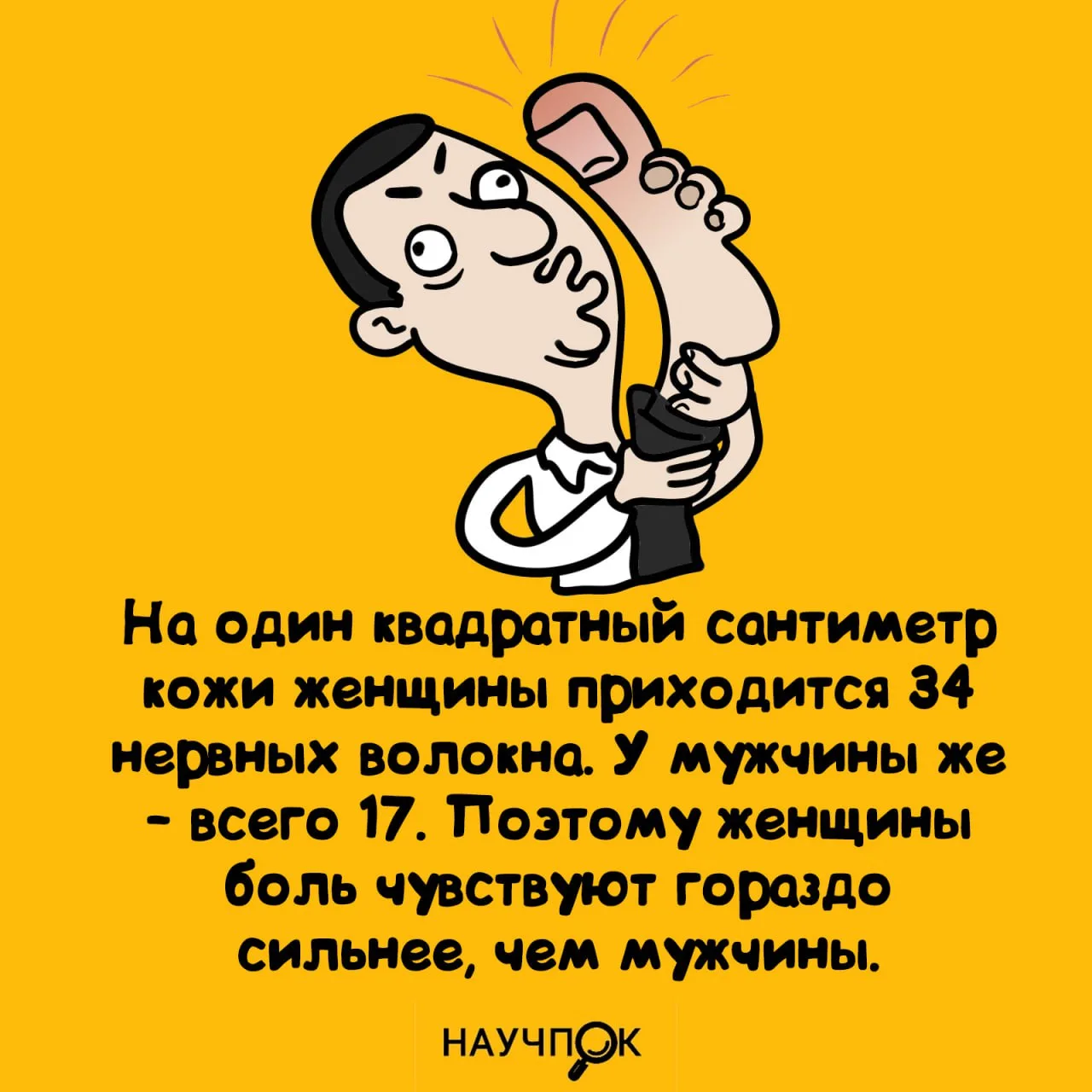 Научпок | Подписаться