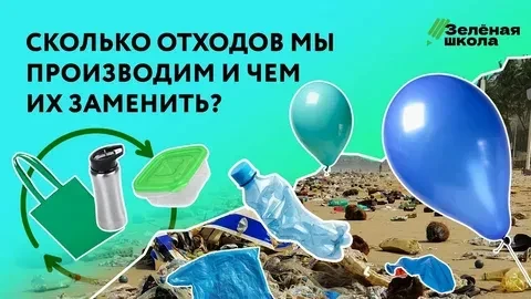 В рамках всероссийского образовательного онлайн-проекта «Зеленая