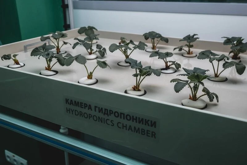 27 марта в рамках рабочего визита в Липецкую область Елецкий государственный университет им. И.А. Бу