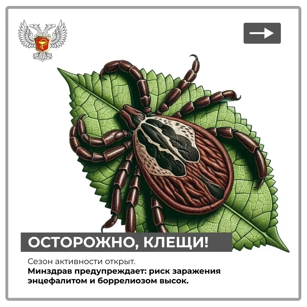 ⚠ Осторожно, клещи! ⚠