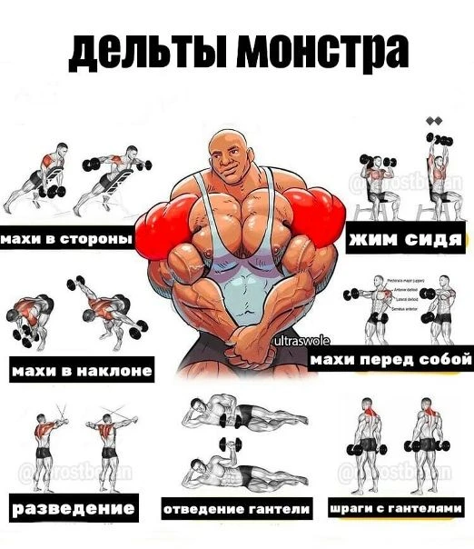 Подпишись на программы тренировок💪